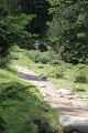IMG_0717