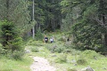 IMG_0732