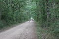 IMG_0242