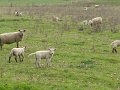 P1040039