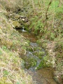P1040045