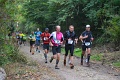 trail_030