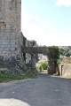 IMG_0942