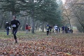 IMG_2412