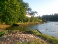 Photo0278