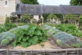 IMG_1681