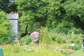 IMG_1686