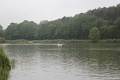 IMG_1740