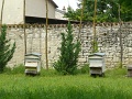 P1050188