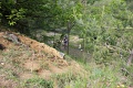 IMG_1646