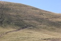 IMG_2149