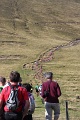 IMG_2157
