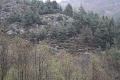 IMG_2525