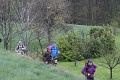 IMG_2546