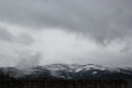 IMG_2607