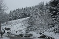 IMG_2614