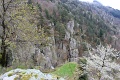 IMG_2637