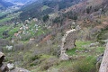IMG_2643