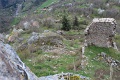 IMG_2645