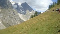 DSC06950
