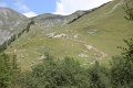 IMG_3441
