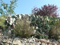 P1080077