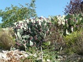 P1080078