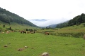 IMG_5190