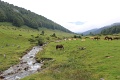IMG_5195