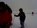 IMG_20140215_111759