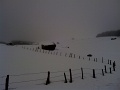 IMG_20140215_130402
