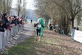 IMG_1282