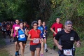 IMGP1370